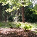 Natuurbegraven Overijssel
