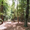 Ontwikkeling natuurbegraafplaats